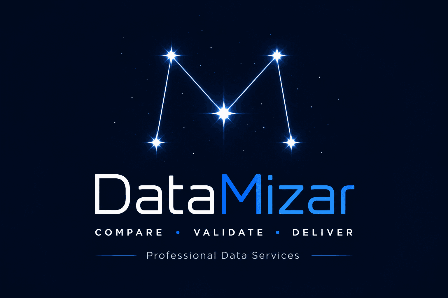 DataMizar - Professional Data Services